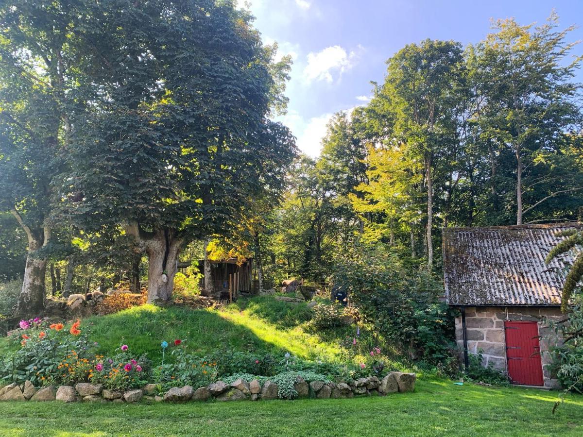 Farm Stay Happy Dogs Ranch Veberod Экстерьер фото