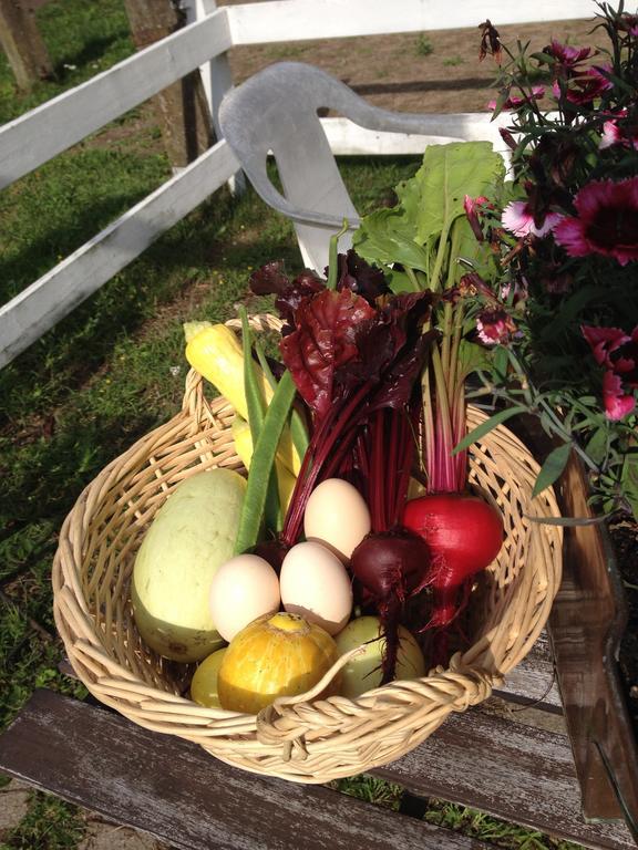 Farm Stay Happy Dogs Ranch Veberod Экстерьер фото
