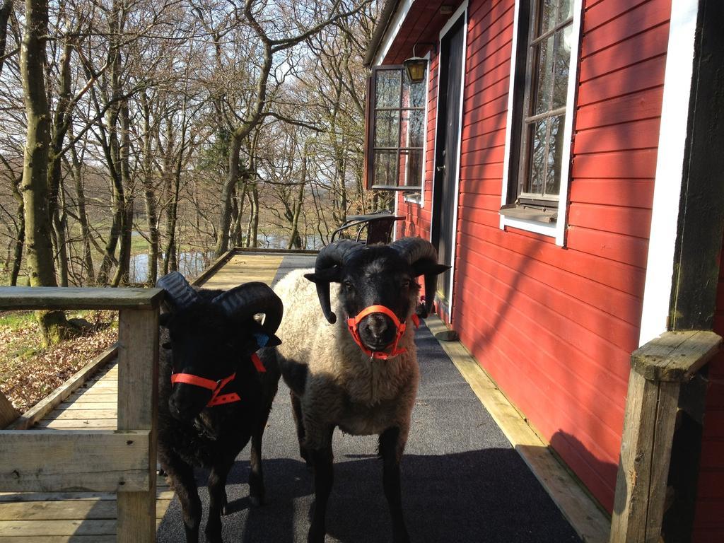 Farm Stay Happy Dogs Ranch Veberod Экстерьер фото