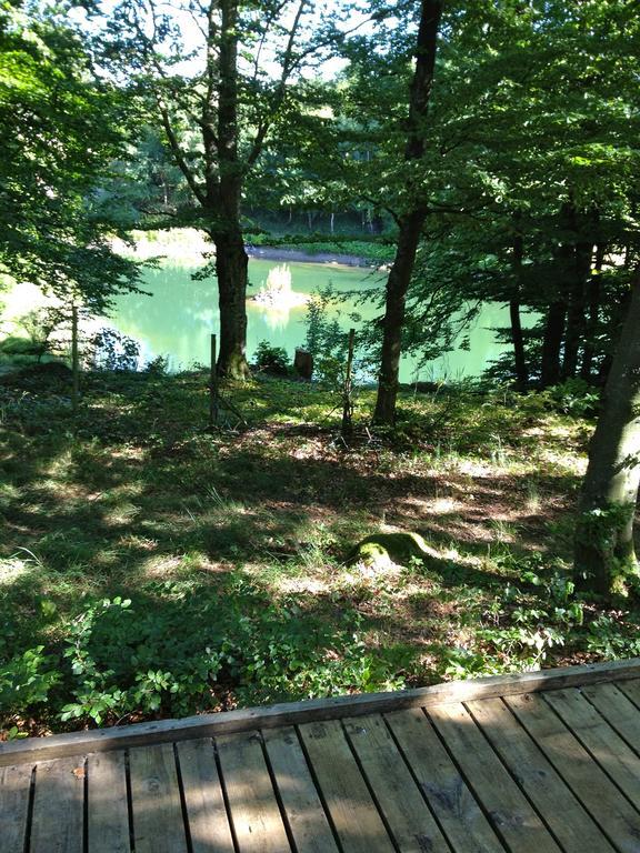 Farm Stay Happy Dogs Ranch Veberod Экстерьер фото