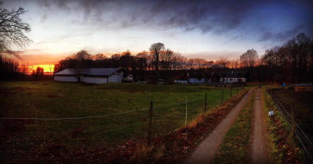 Farm Stay Happy Dogs Ranch Veberod Экстерьер фото