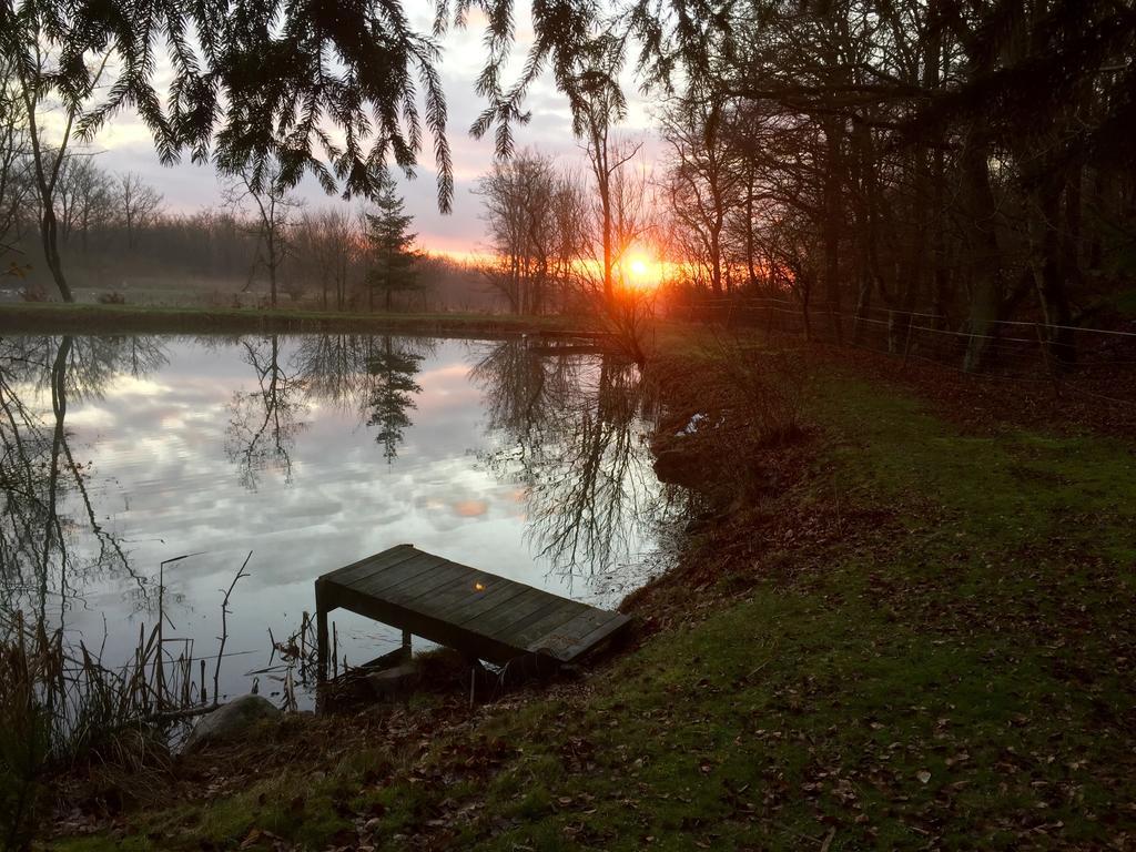 Farm Stay Happy Dogs Ranch Veberod Экстерьер фото
