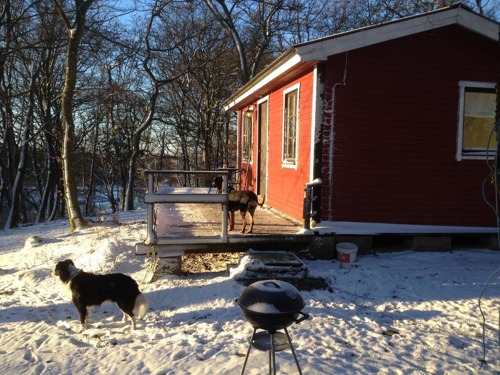 Farm Stay Happy Dogs Ranch Veberod Экстерьер фото