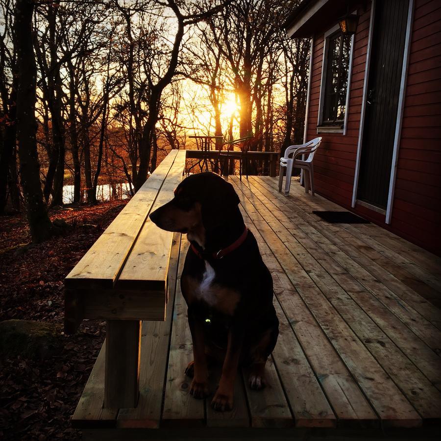 Farm Stay Happy Dogs Ranch Veberod Экстерьер фото